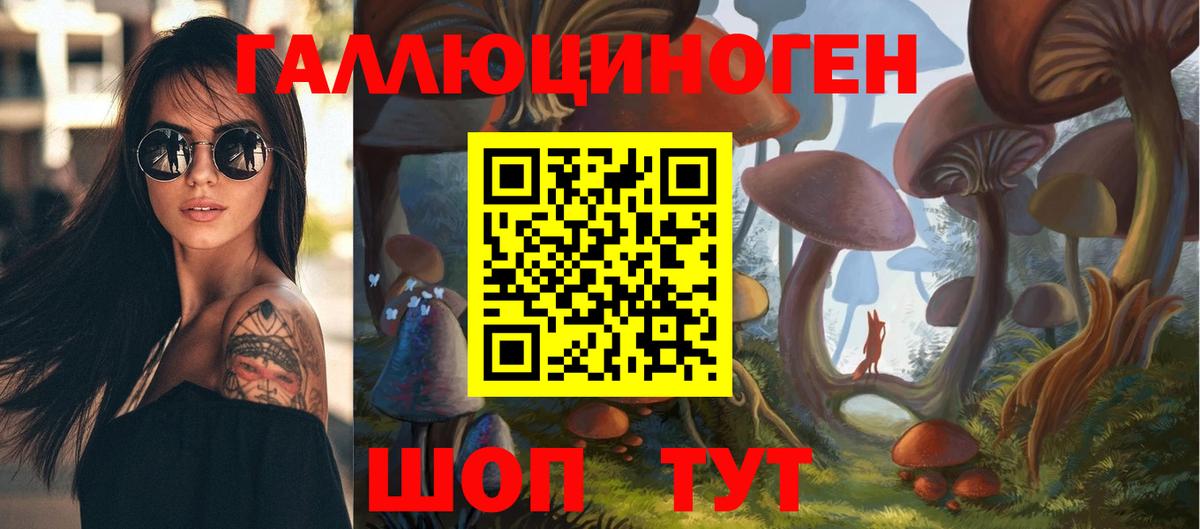 Губаха  Галлюциногенные грибы Magic Shrooms  Вход с VPN 